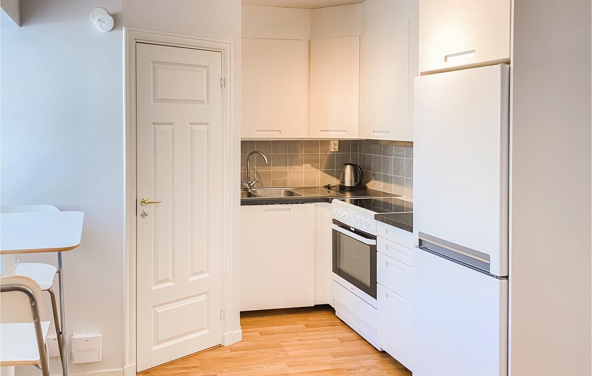 维斯比（ Visby ）带厨房的舒适公寓