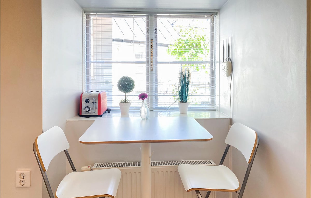 维斯比（ Visby ）带厨房的舒适公寓