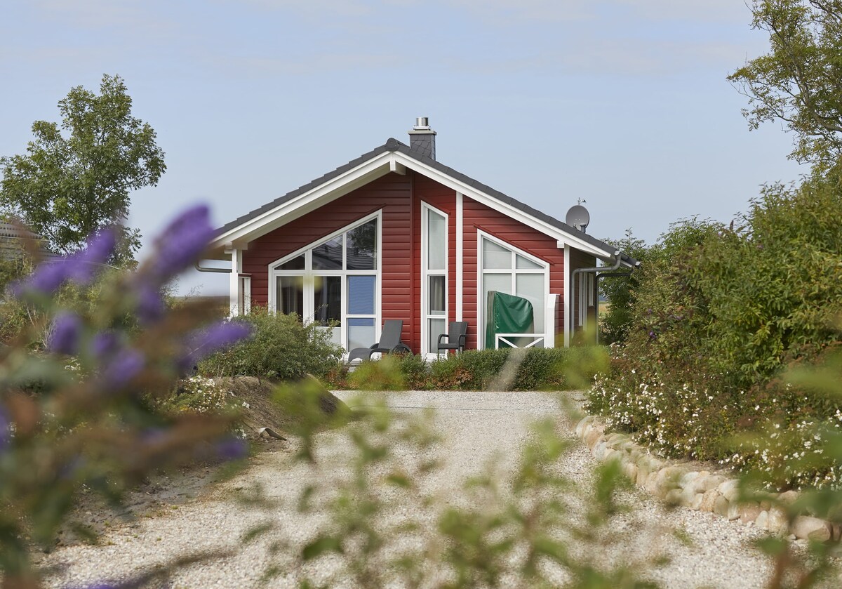 Strandläufer