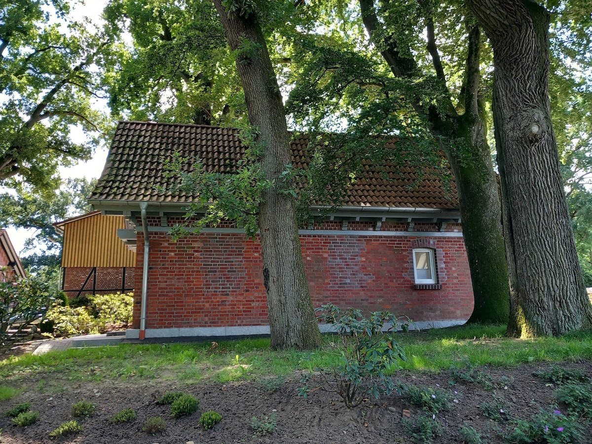 可容纳3位房客的度假屋，面积为60平方米，位于北海德的布赫霍尔茨（ 189307 ）