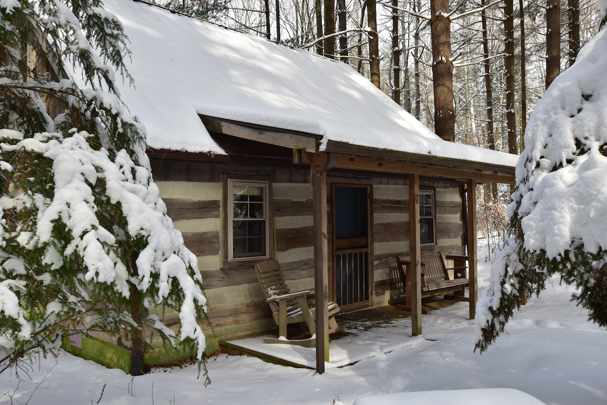 Woodland view-Blue Log Cabin