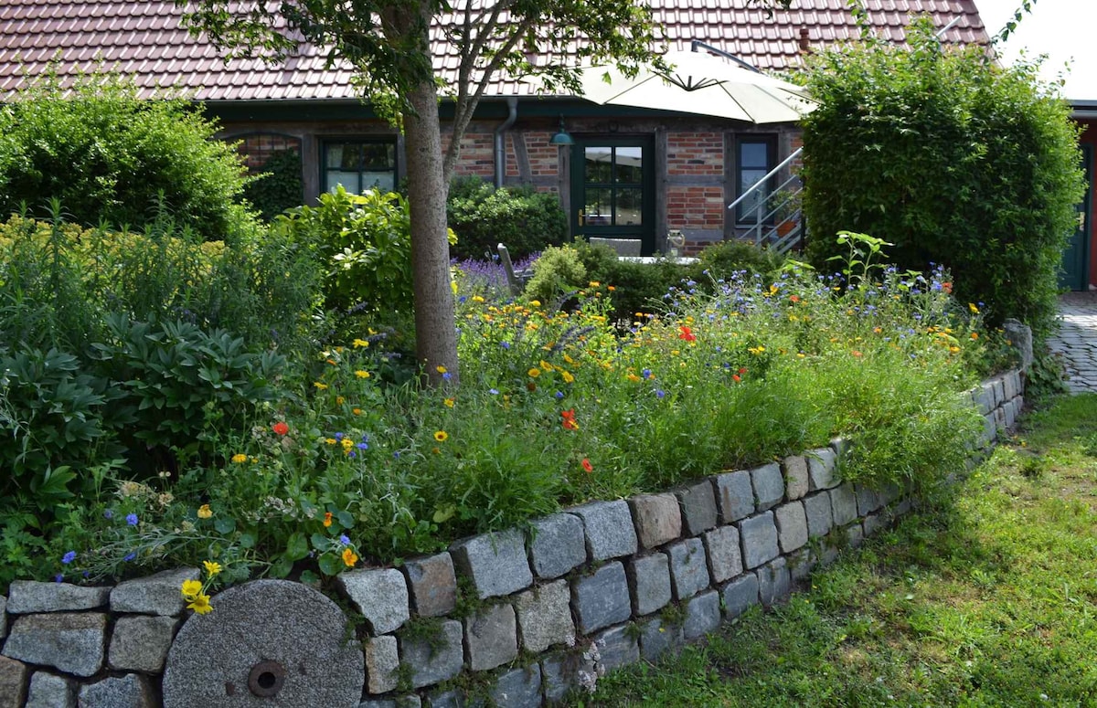 Holiday apartment in nature with terrace