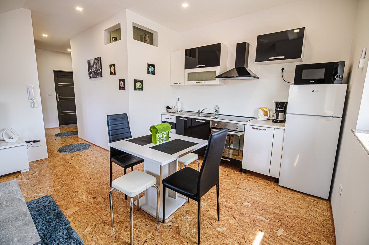 One Bedroom Apartment in Ljubljana for 4 guests