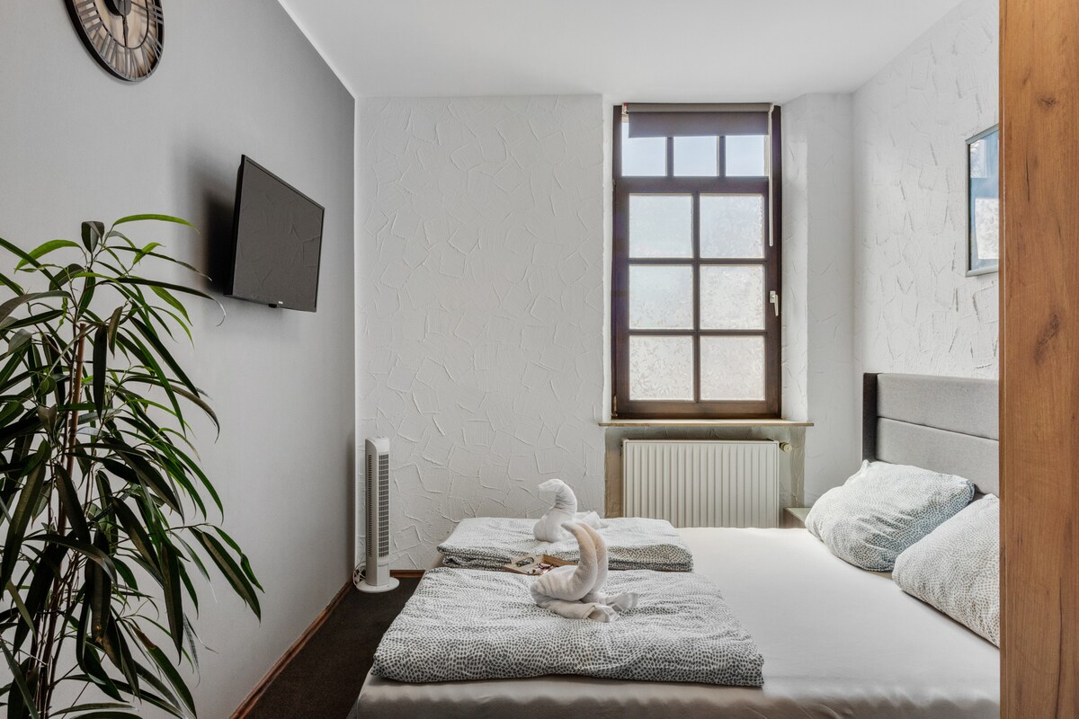 Budget Zweibettzimmer mit privatem Bad