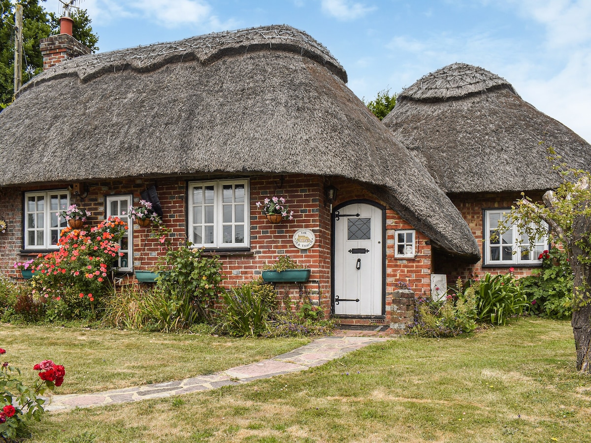 The Old Thatch (uk44319)