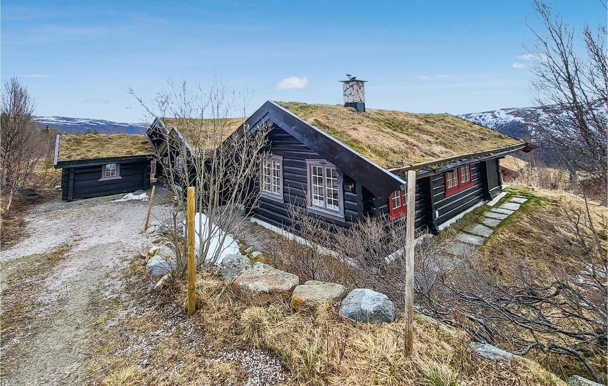 Gorgeous home in Uvdal with kitchen