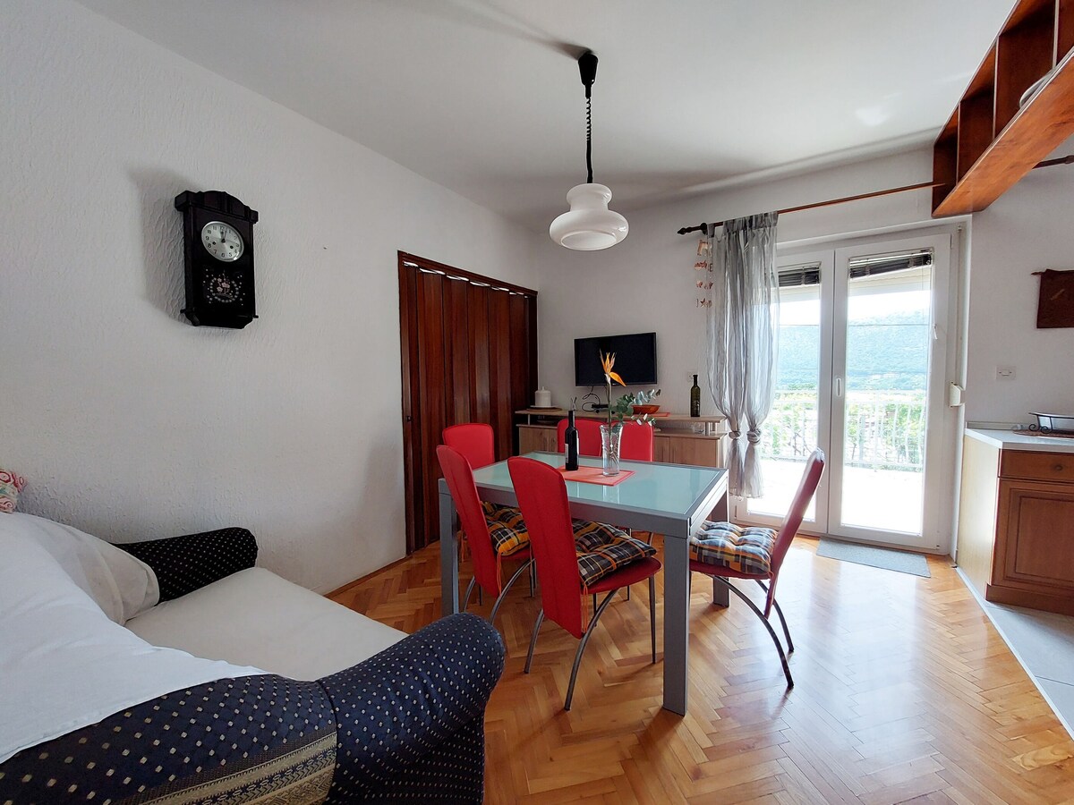 Three Bedroom Apartment, in Bribir, Terrace