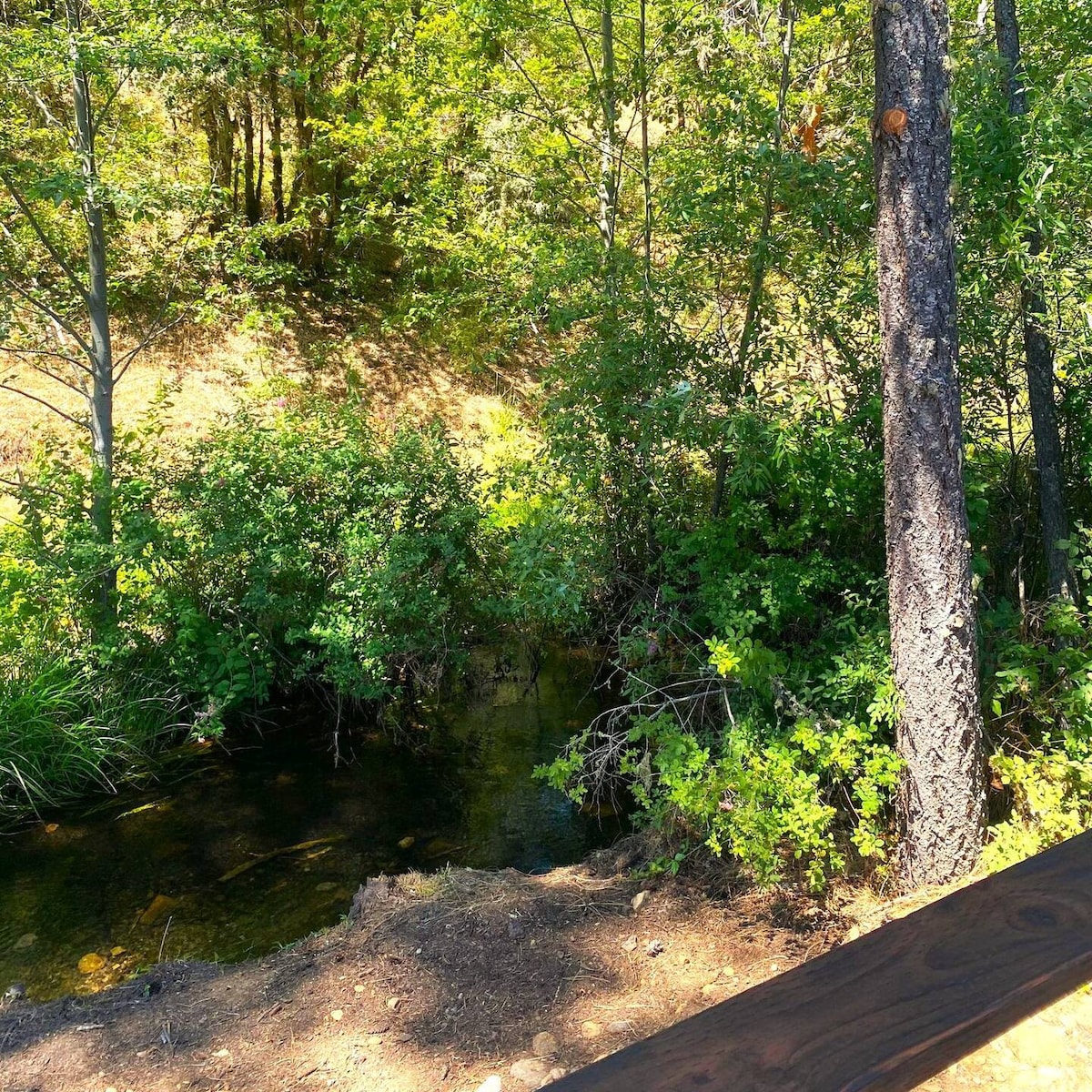 RV42 with Large Deck on a Creek