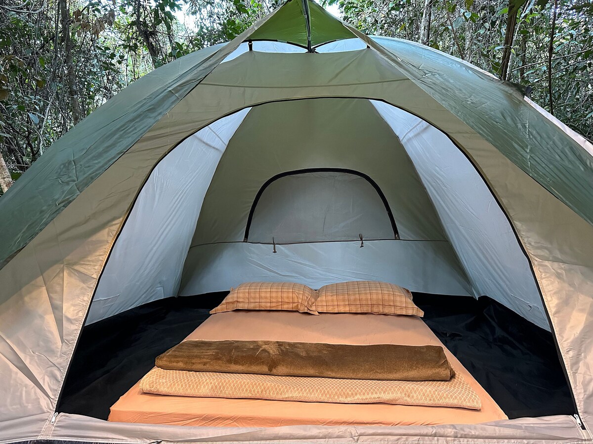 Fully Equiped Tents in The Forest/Family & Groups