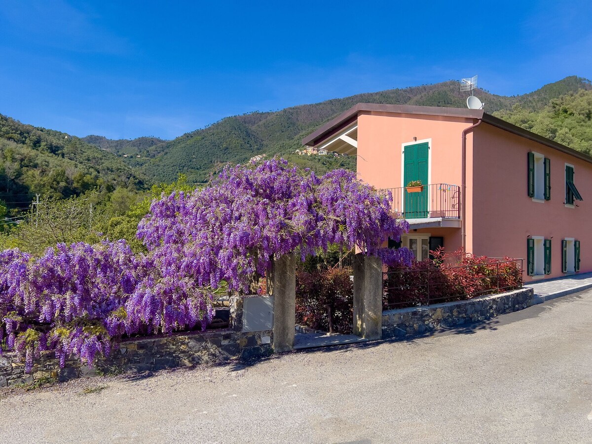 La Casa Dei Glicini - Levanto - Pesco - First Floo