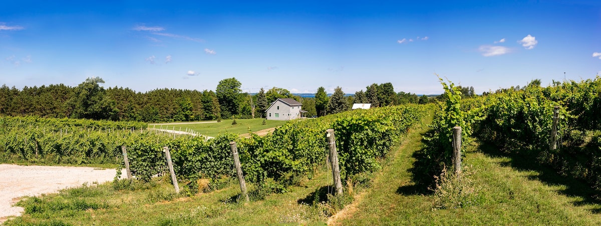 Spectacular Vineyard Views: Engle Farmhouse - 5BR