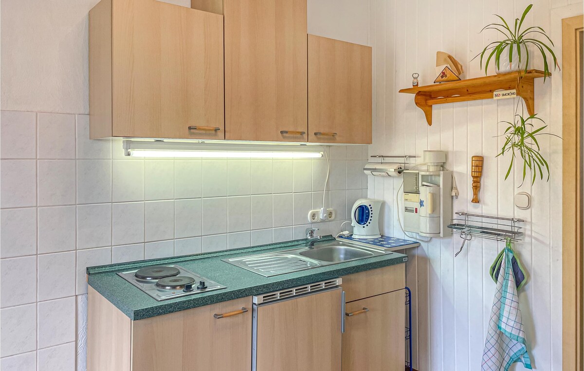 卡尔科霍斯特（ Kalkhorst ）带厨房的舒适公寓