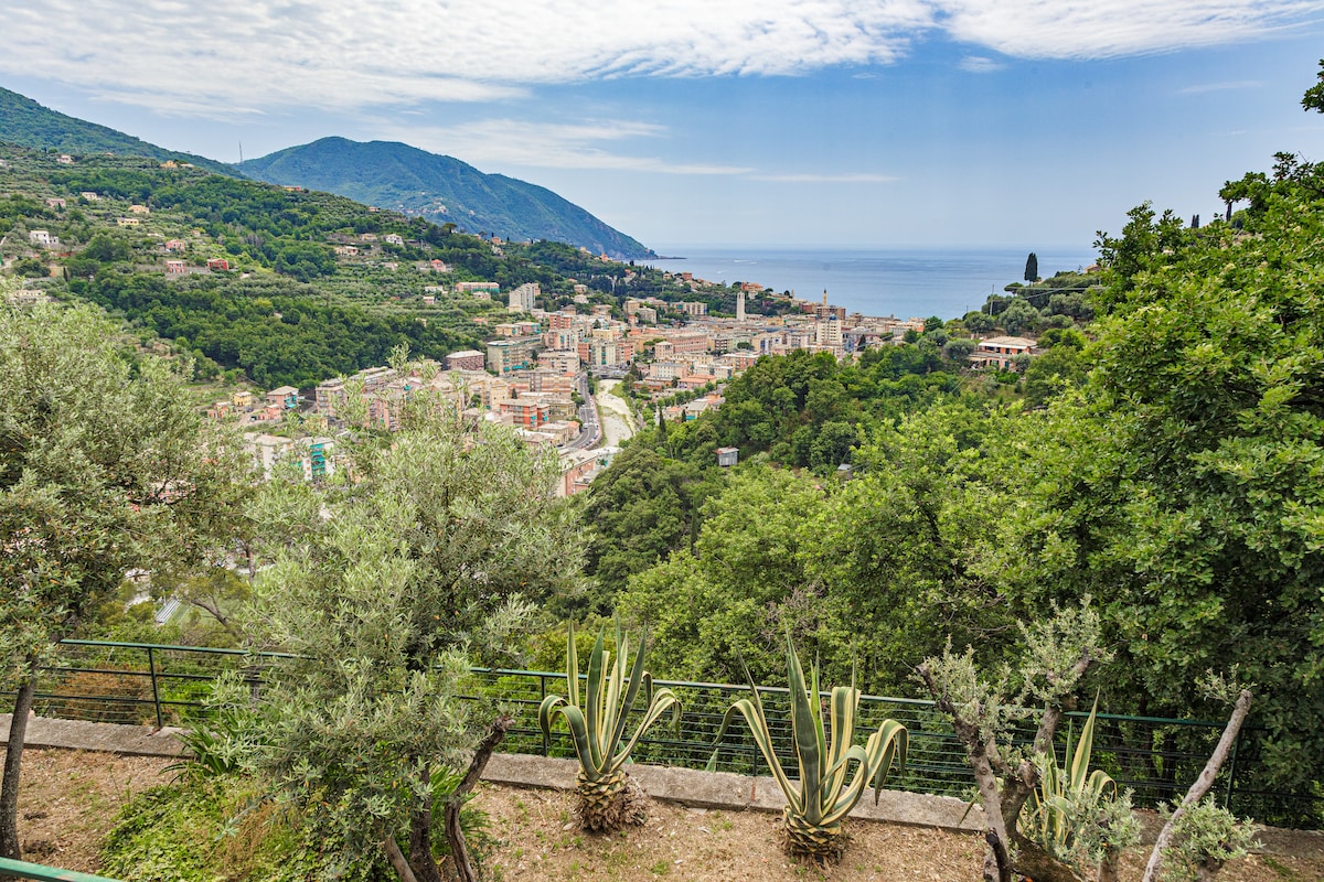 Entire Villa with pool in Recco Cinque Terre no001