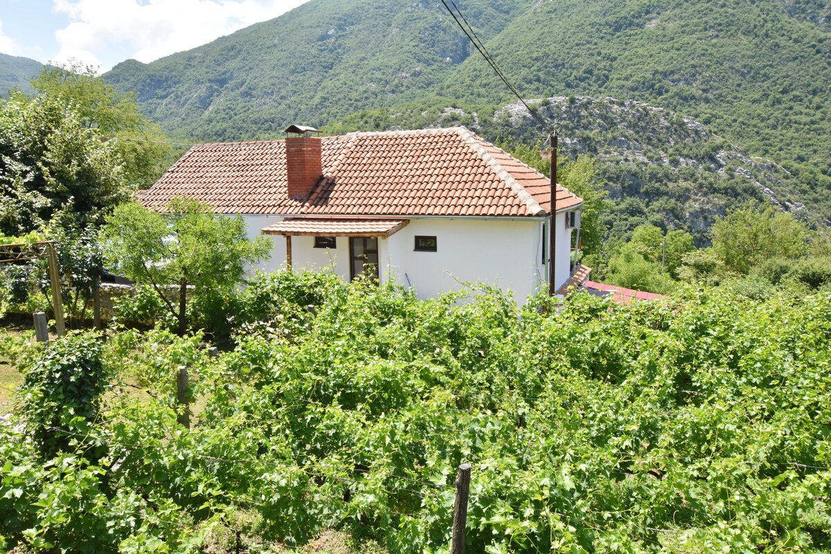 Stone house, in the countryside in Virpazar