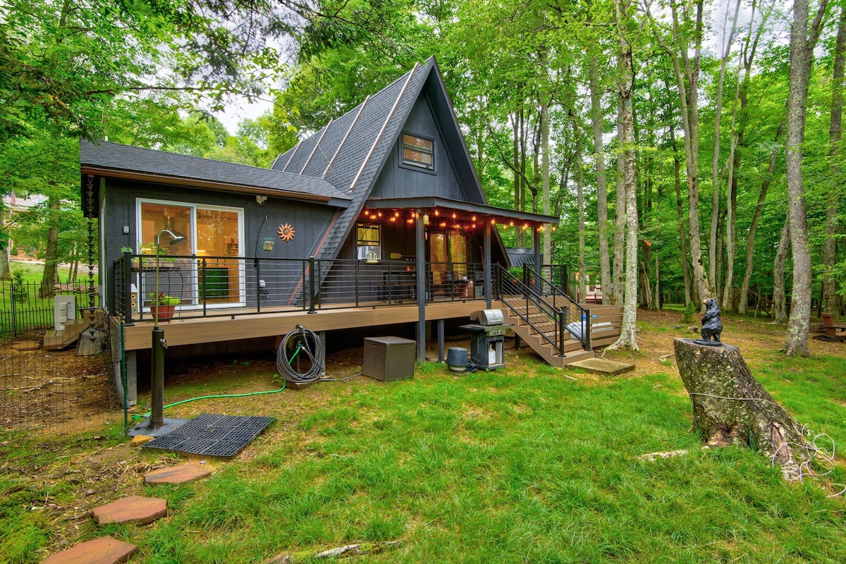 Black Bear Sauna & Plunge - Beech Mountain modern