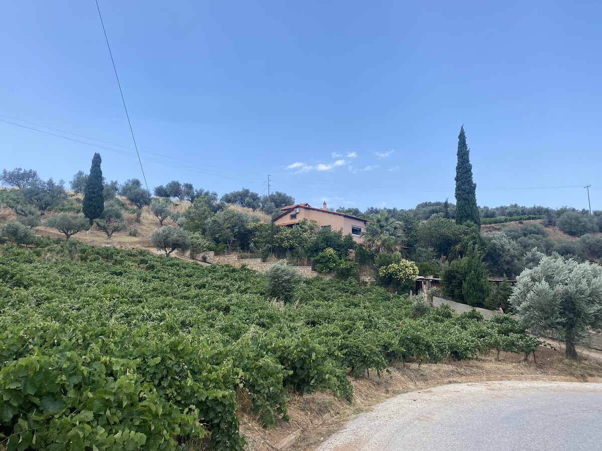 Greek Tuscany Vasiliki's Home