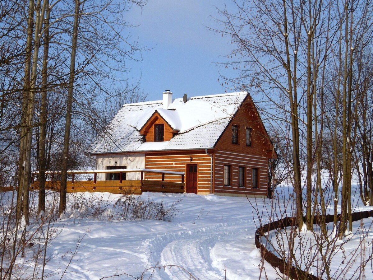 Luxurious Villa in Božanov with Sauna