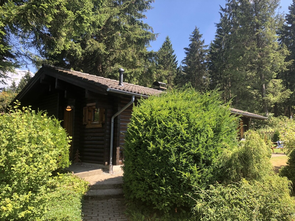 带烤箱的木平房，位于湖畔的Oberharz
