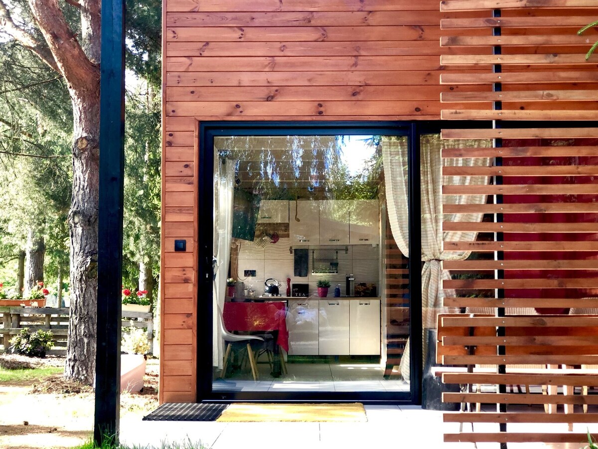 A modern house on the edge of the forest