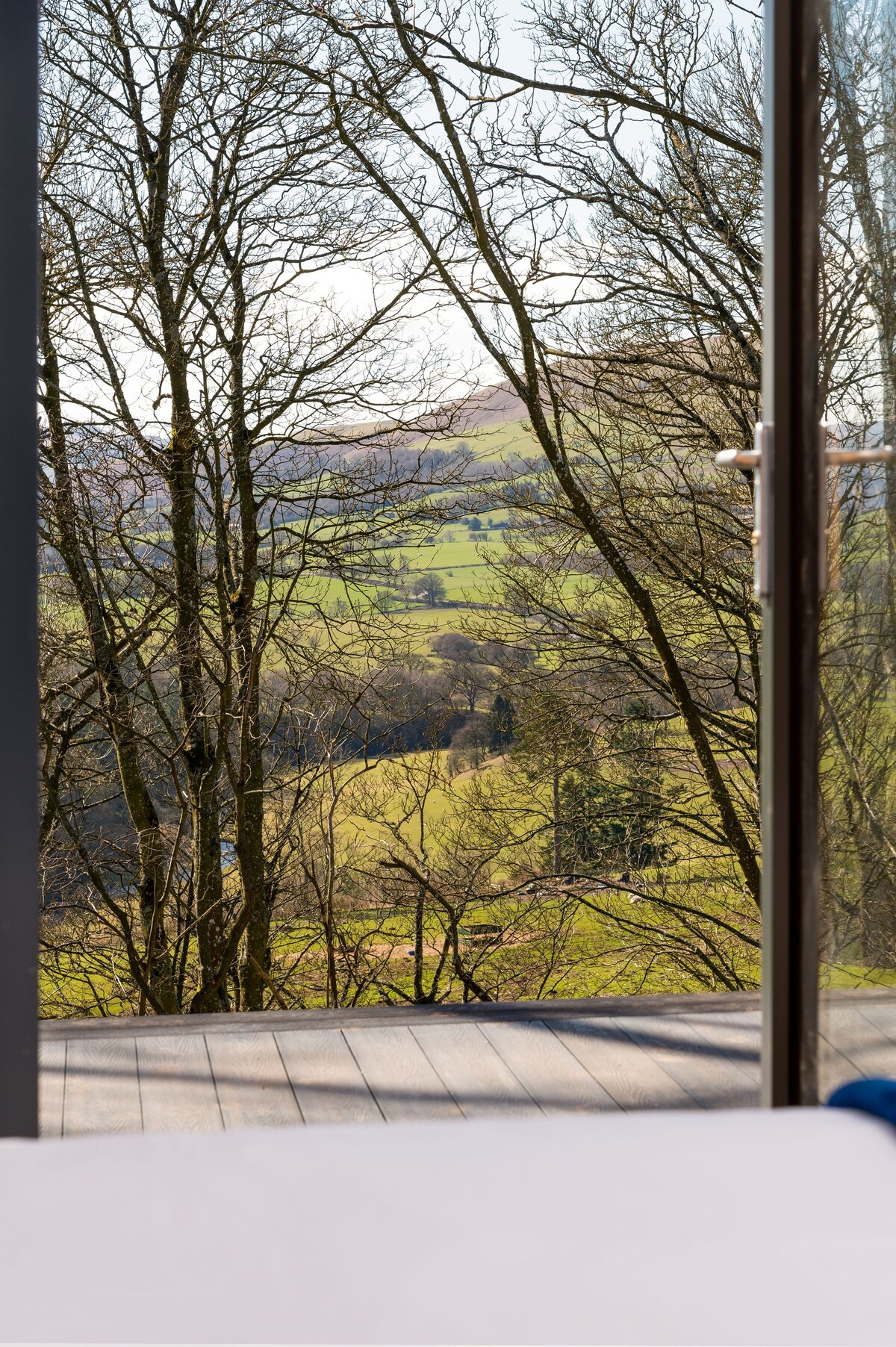 Bluebell Cabin