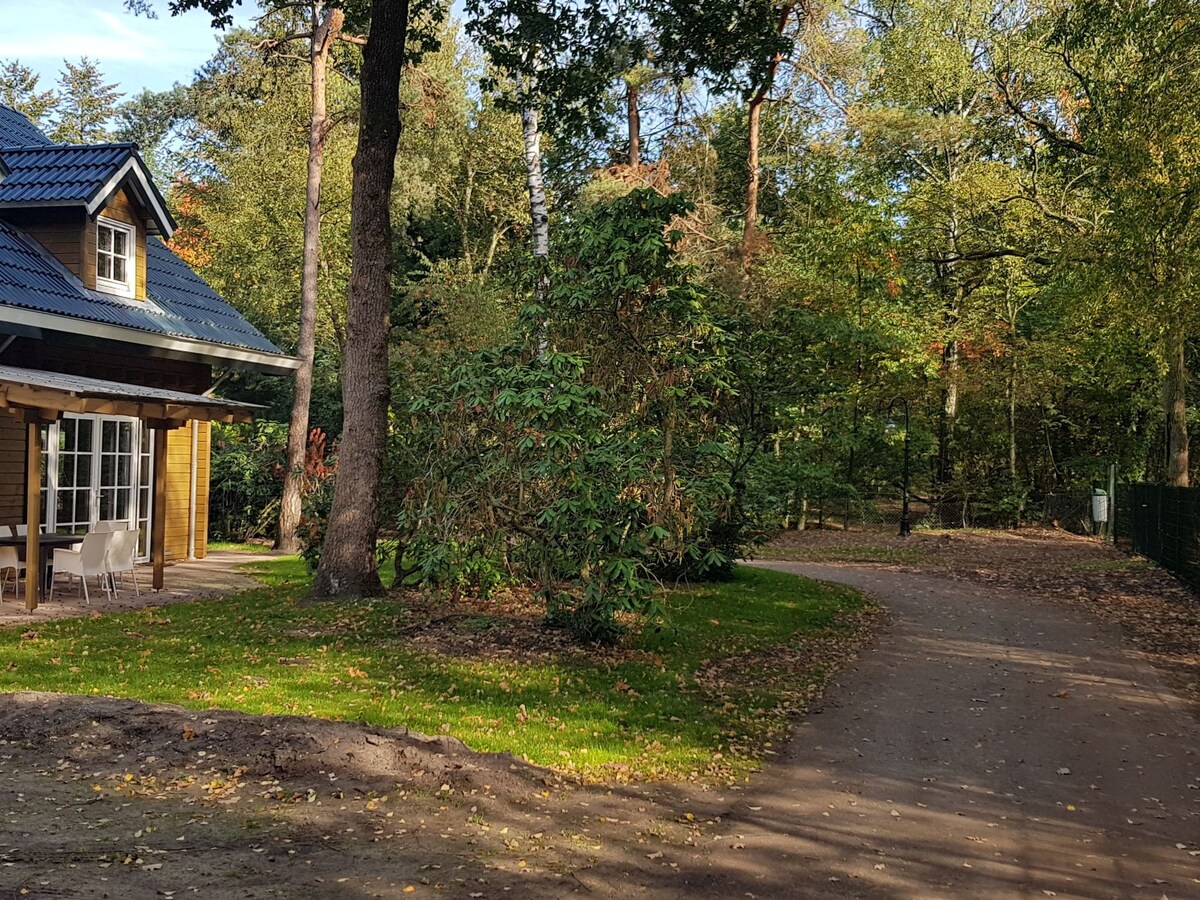 Beautiful house on the edge of the forest