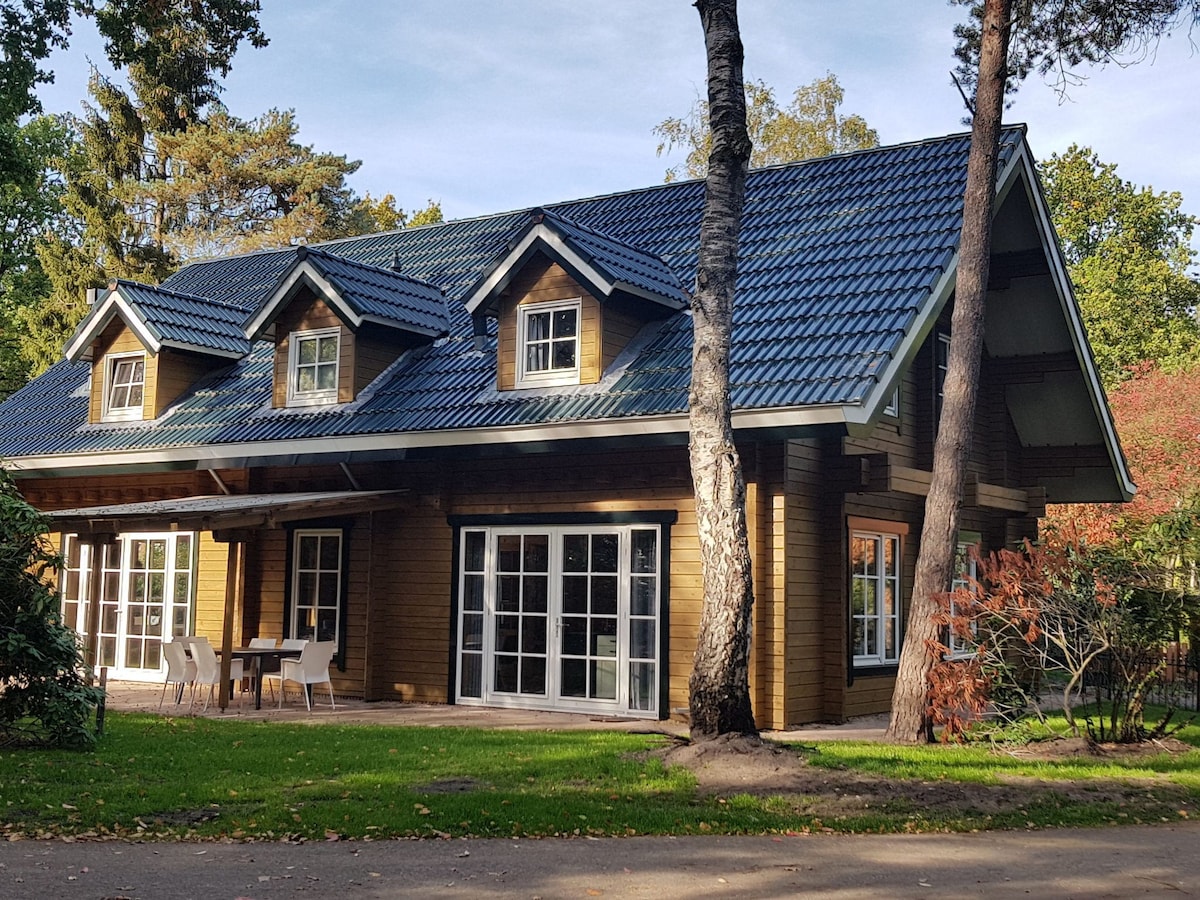 Beautiful house on the edge of the forest