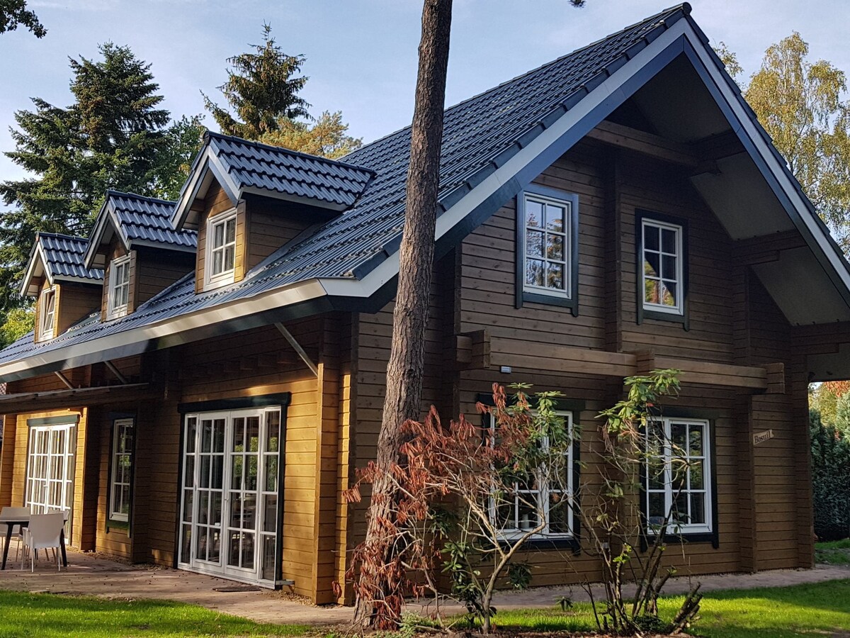 Beautiful house on the edge of the forest