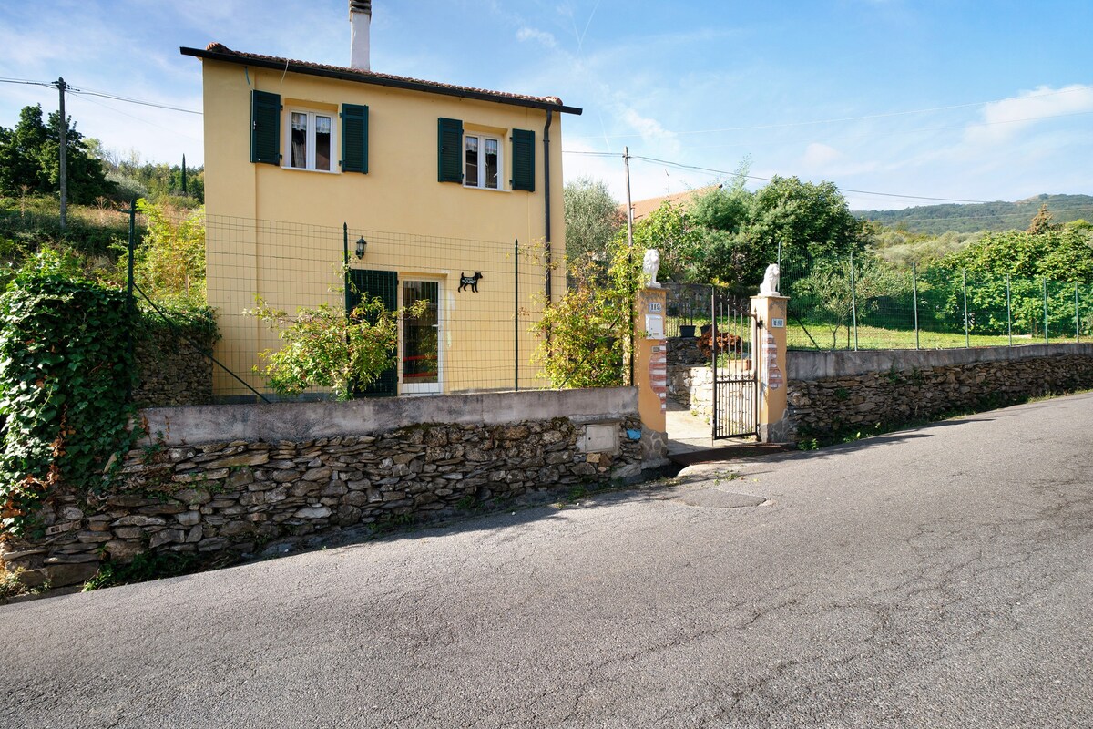 Villa nel Borgo