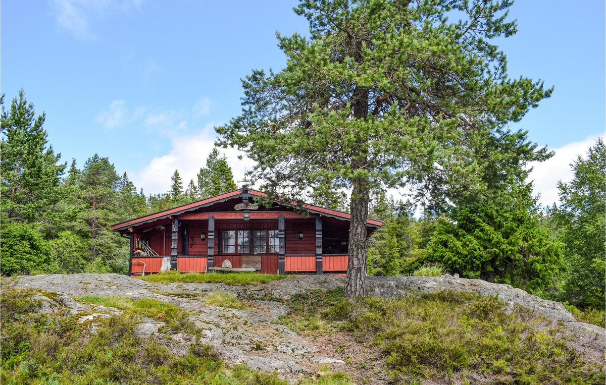 Beautiful home in Nissedal with house sea view
