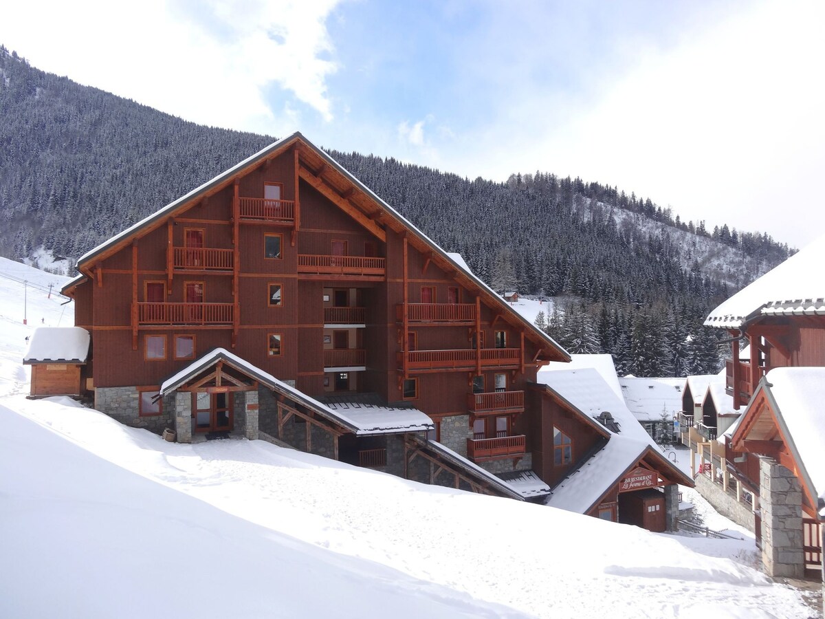 Apartment near big ski area Grandes Rousses