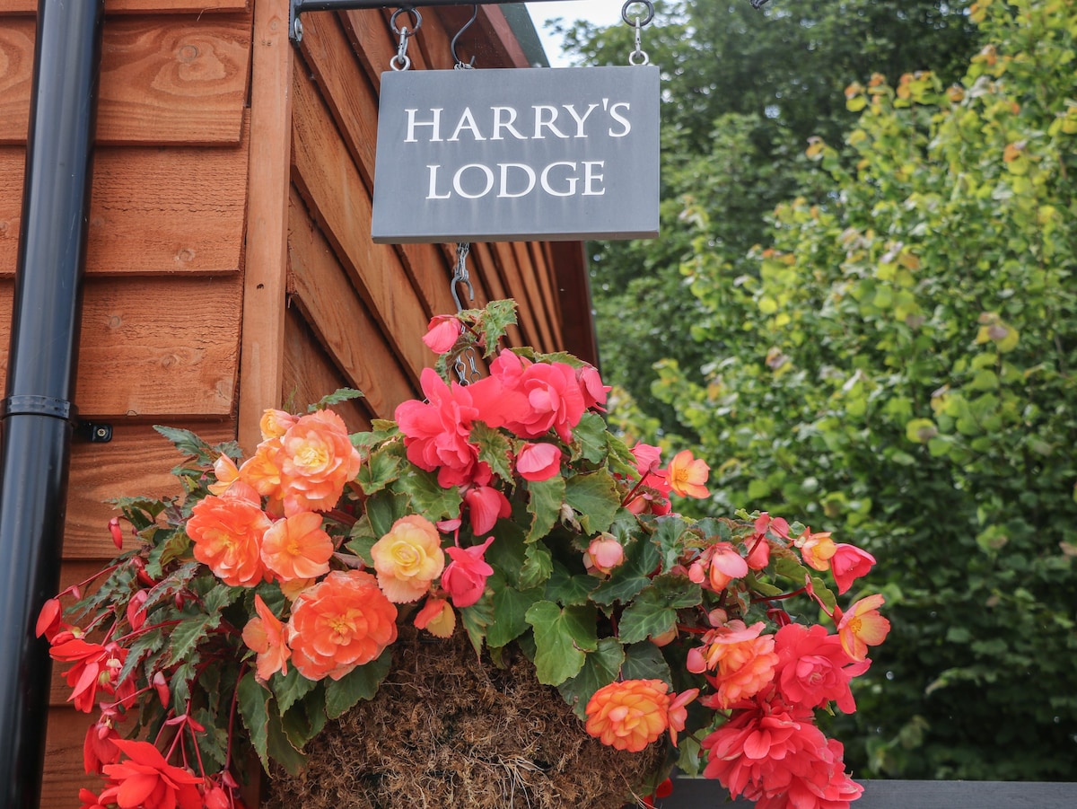 Harry's Lodge