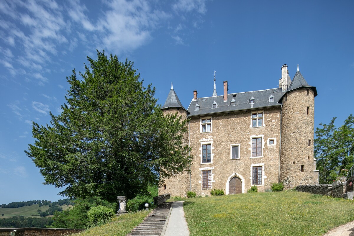 Les Tourelles - Duplex au Château d'Uriage