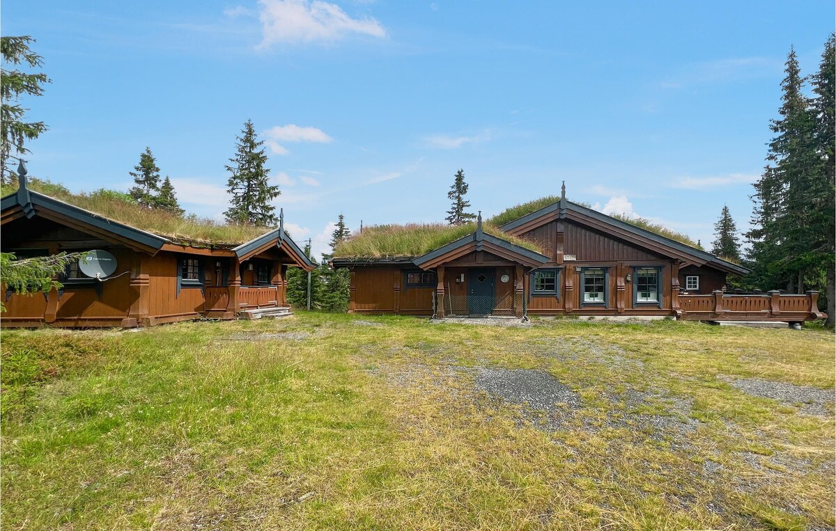 Cozy home in Sjusjøen with kitchen