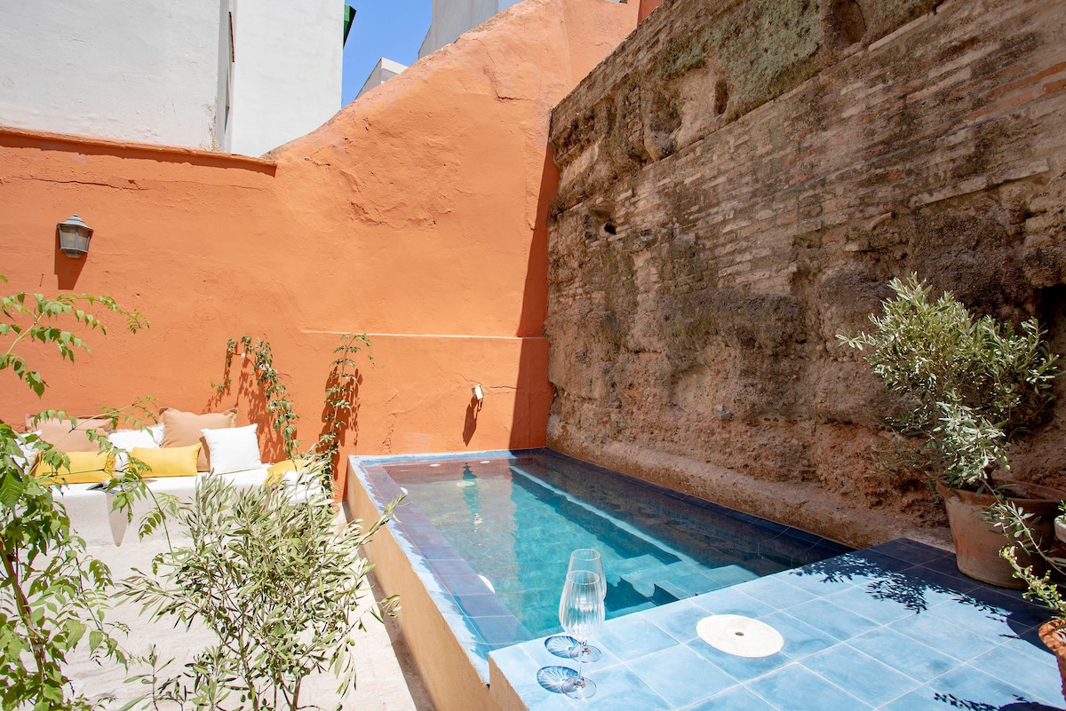 Unique Sevillian House with Pool. Casa Tintes