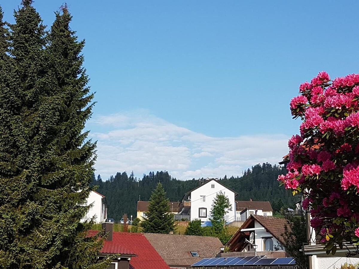 Ferienwohnung Kussmaul, Ferienwohnung Alpirsbach