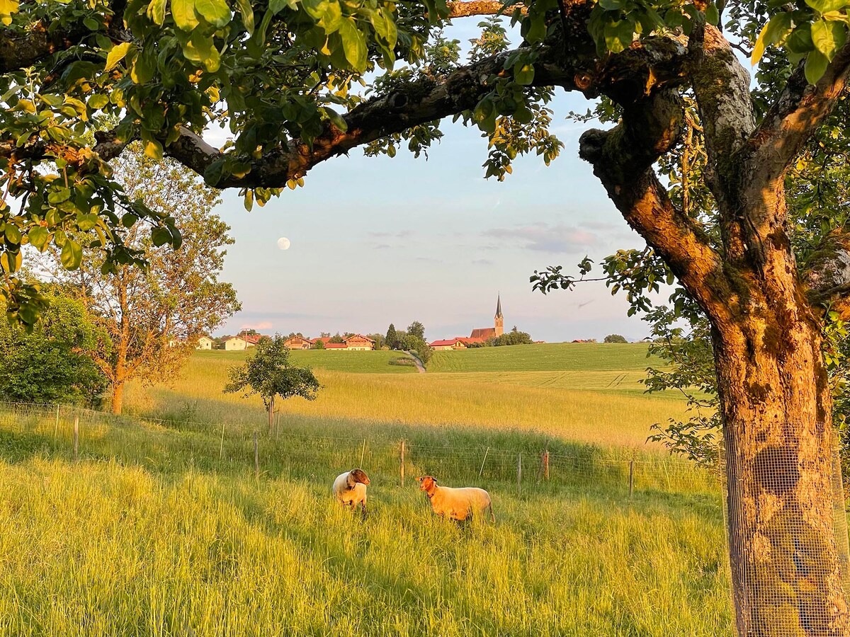 Panorama-Loft: ChiemgauBlick