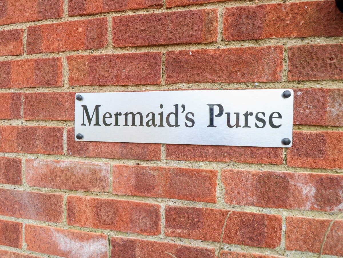 Mermaid's Purse