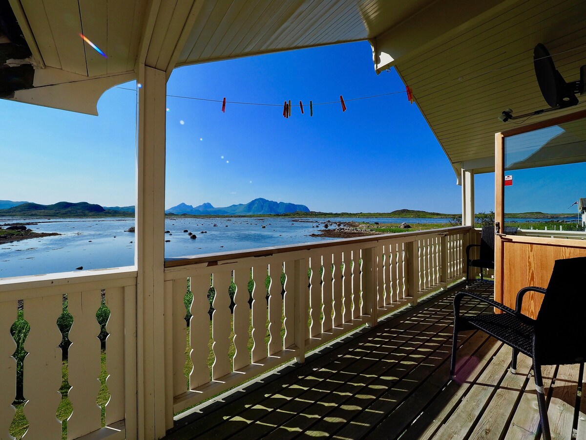 Bird View Lofoten