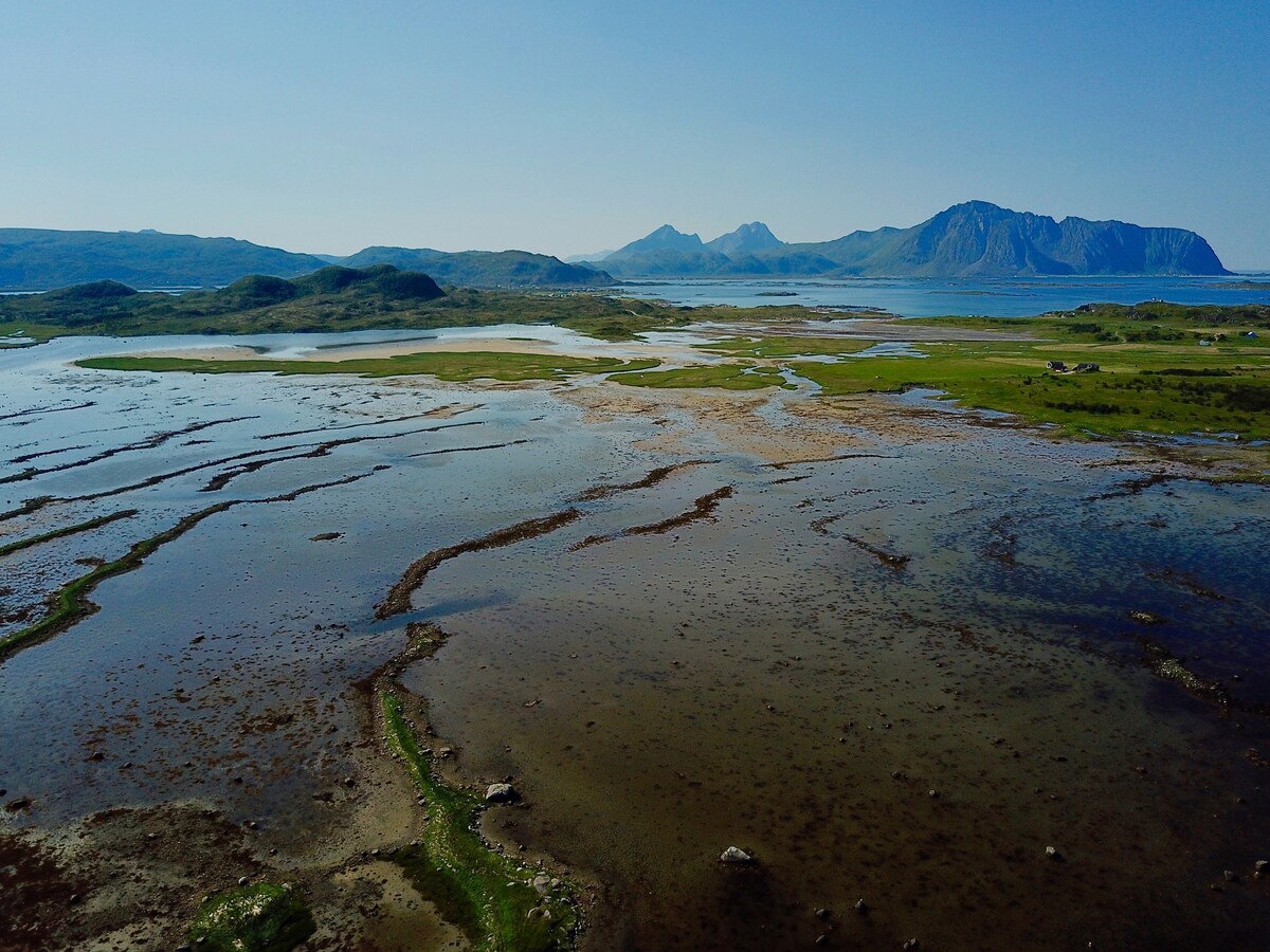 Bird View Lofoten