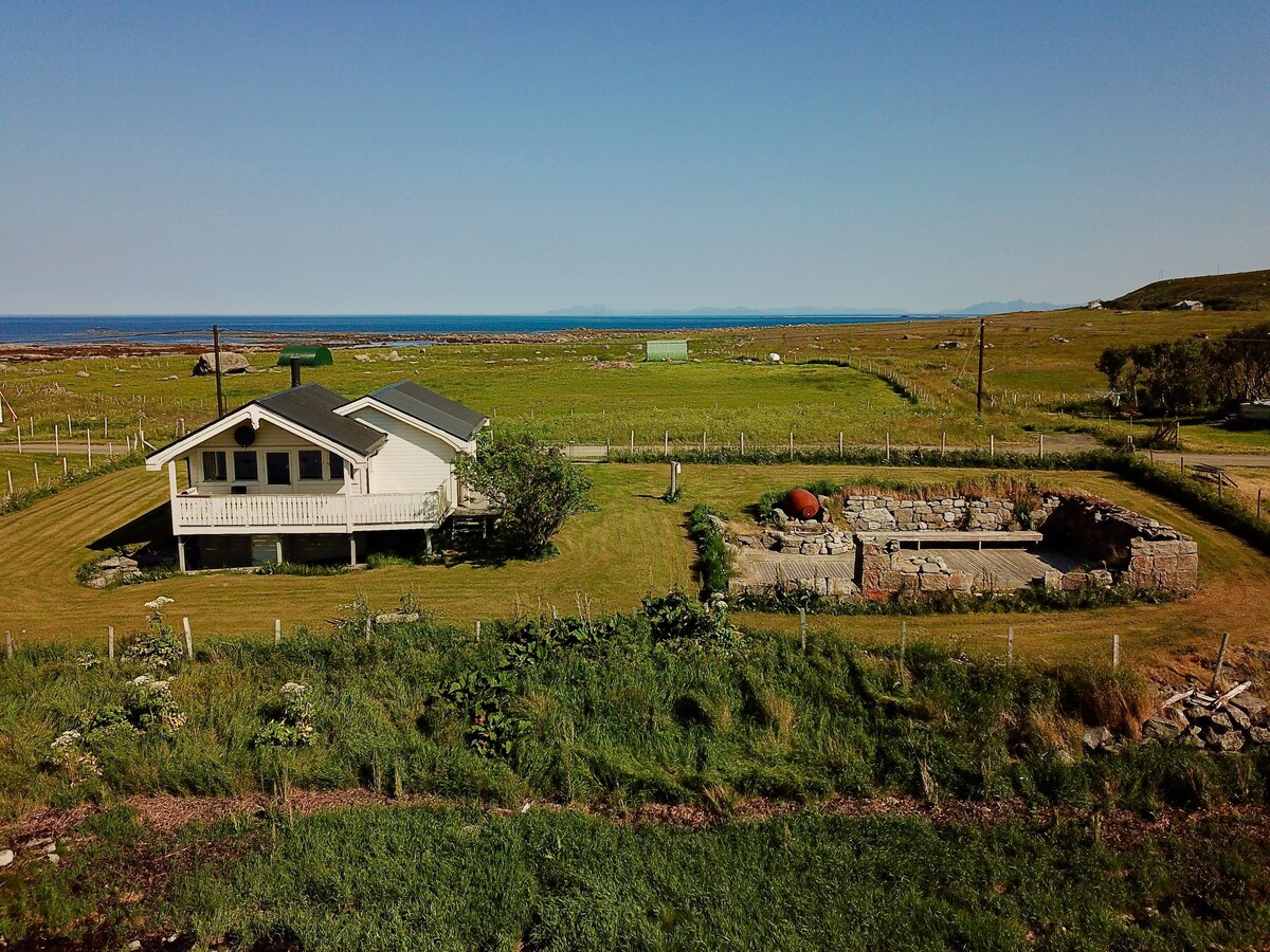 Bird View Lofoten