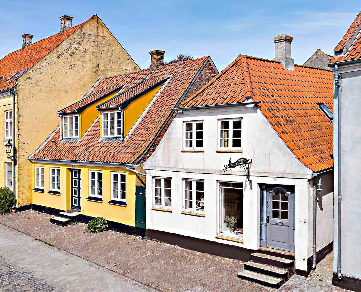 Lovely townhouse in unique Ærøskøbing