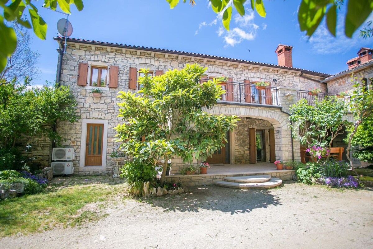 Rustic villa Casa Mendula with grill in Tinjan
