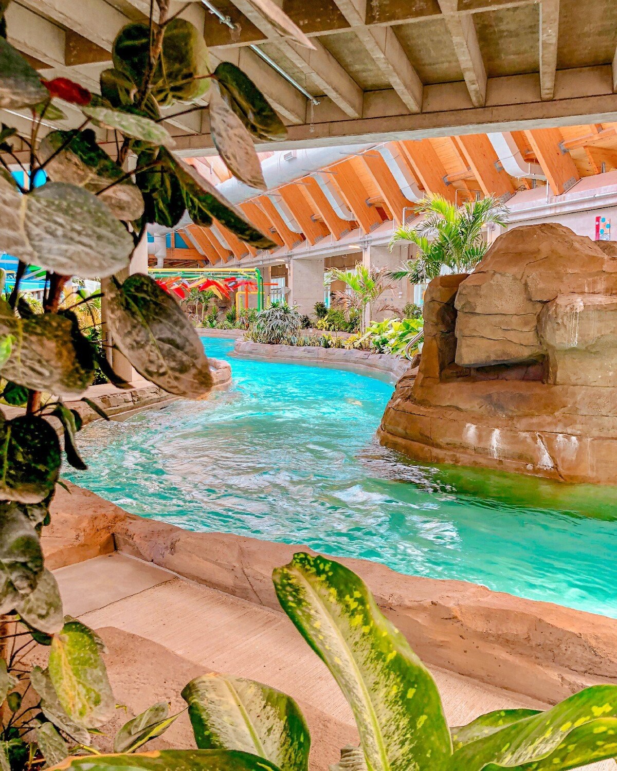 4 Family-friendly Suites with Waterpark Access!