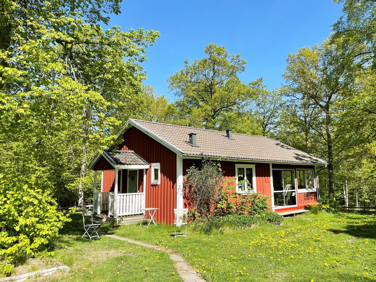 Nice cottage outside Lönashult near lake Övden | S
