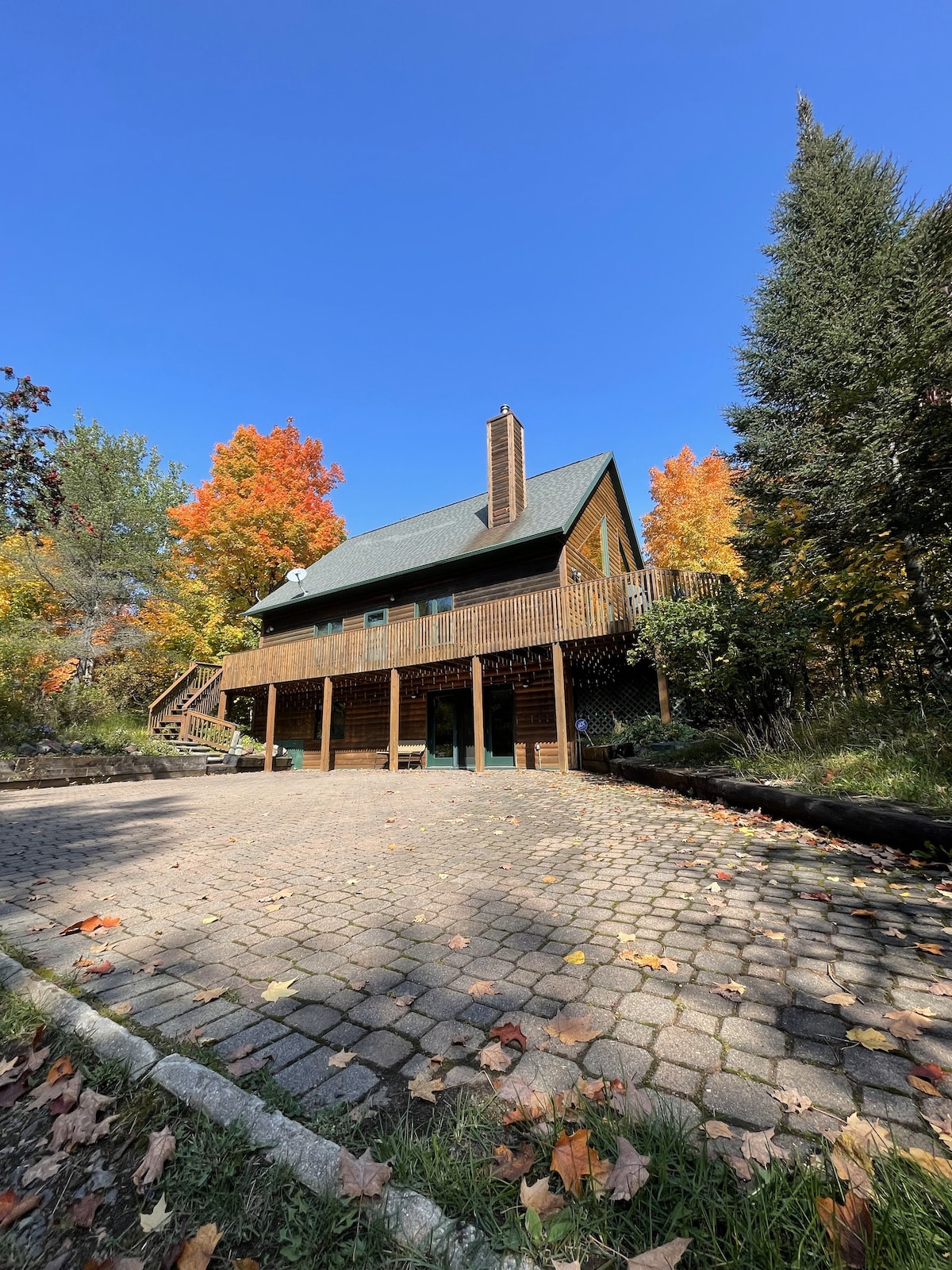 Serene lodge in the Forest