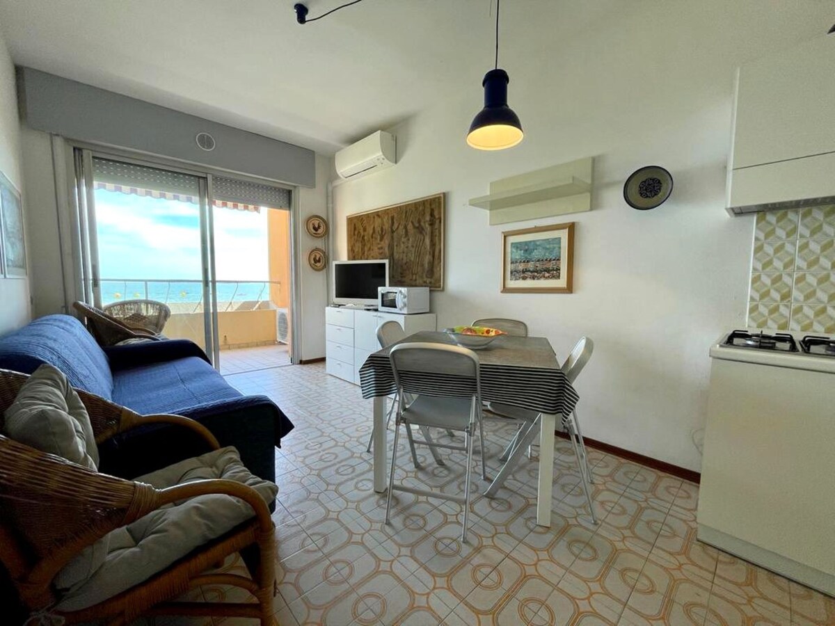 Gorgeous seaview apartment - Beahost Rentals