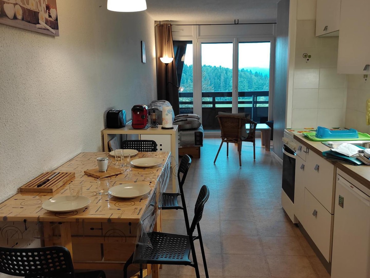 Studio Villard-de-Lans, studio flat, 4 pers.