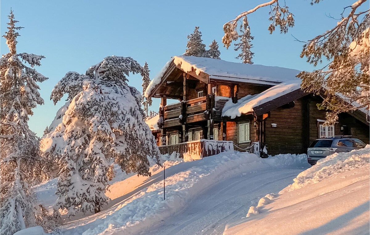 Pet friendly home in Nissedal with WiFi