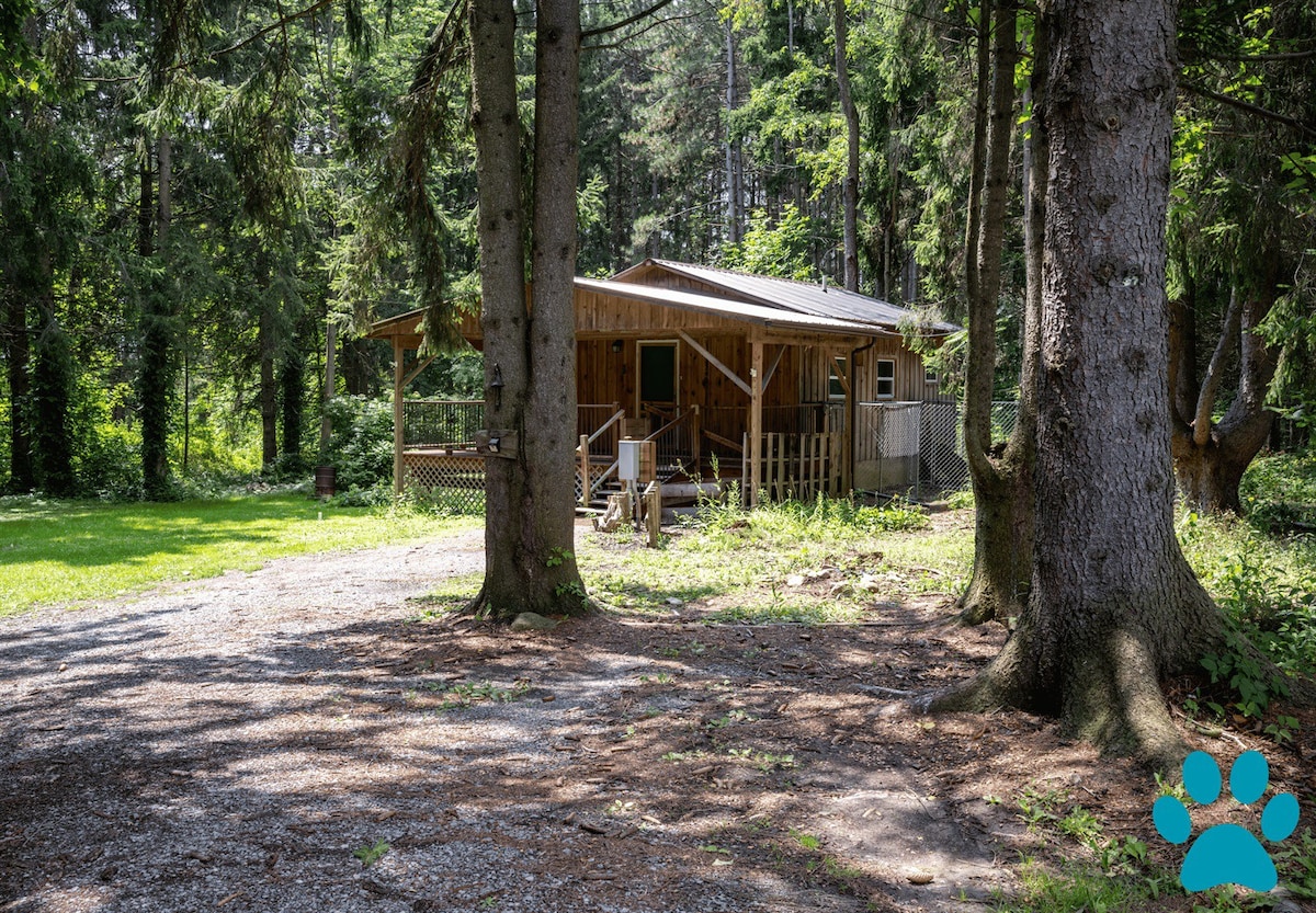 Secluded Cabin, 7ac, Pets, Fire Pit, Wine & Parks
