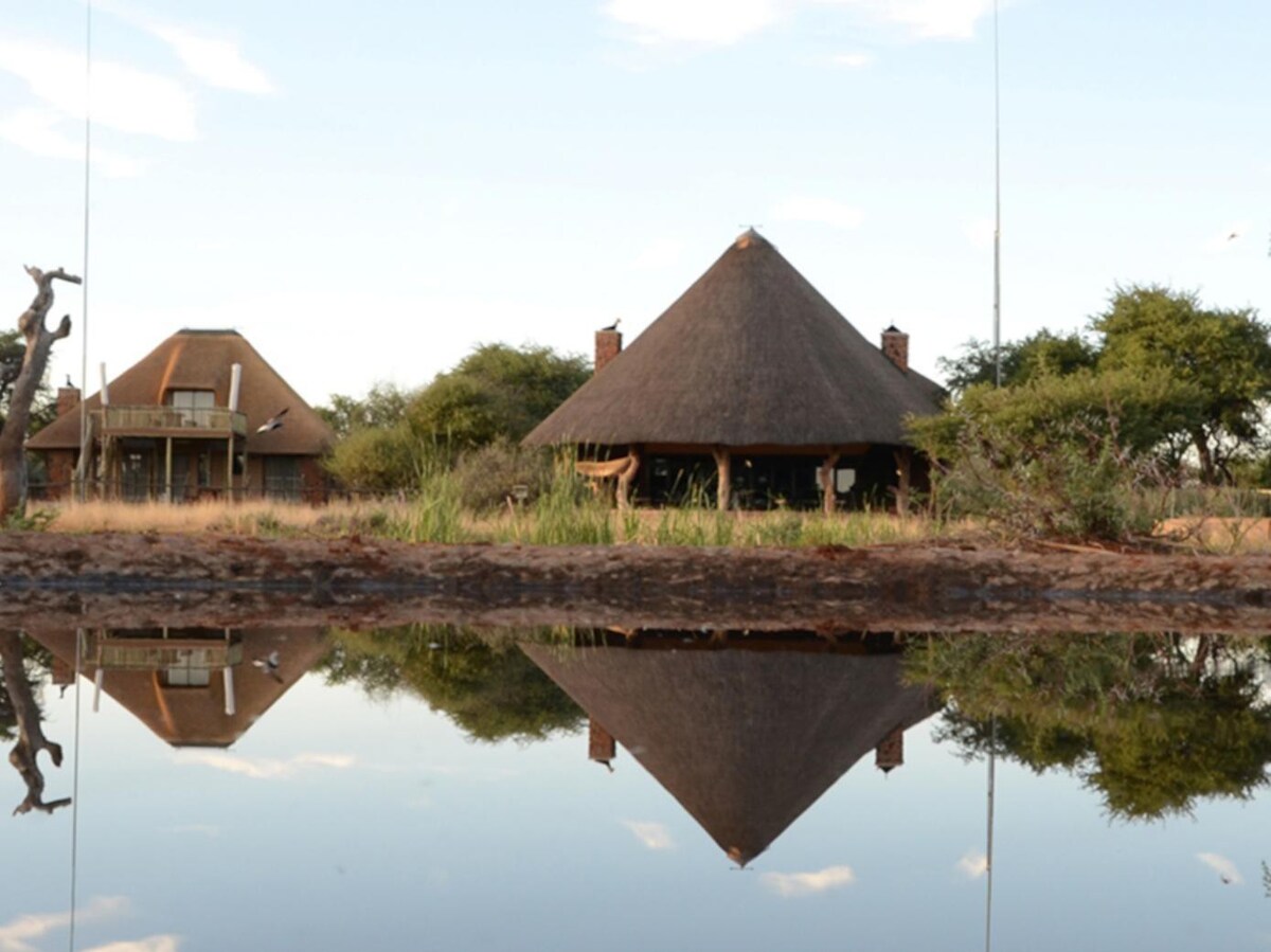 Queen Safari Tent